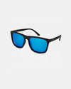 Ledger in Black and Blue