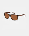 Leo in Brown